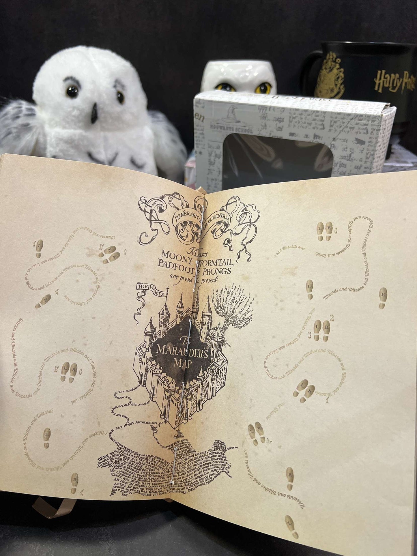 Harry Potter Vintage Code Lock Diary (limited edition)