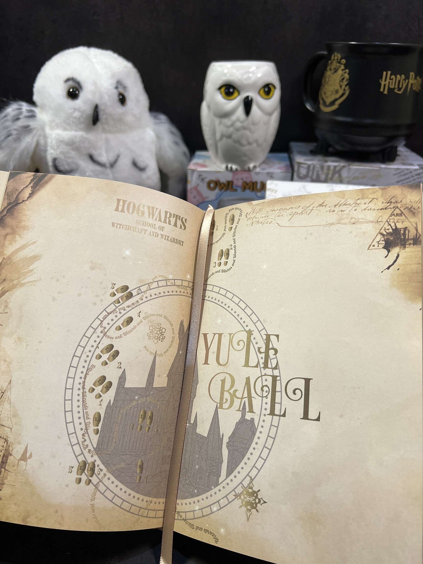 Harry Potter Vintage Code Lock Diary (limited edition)