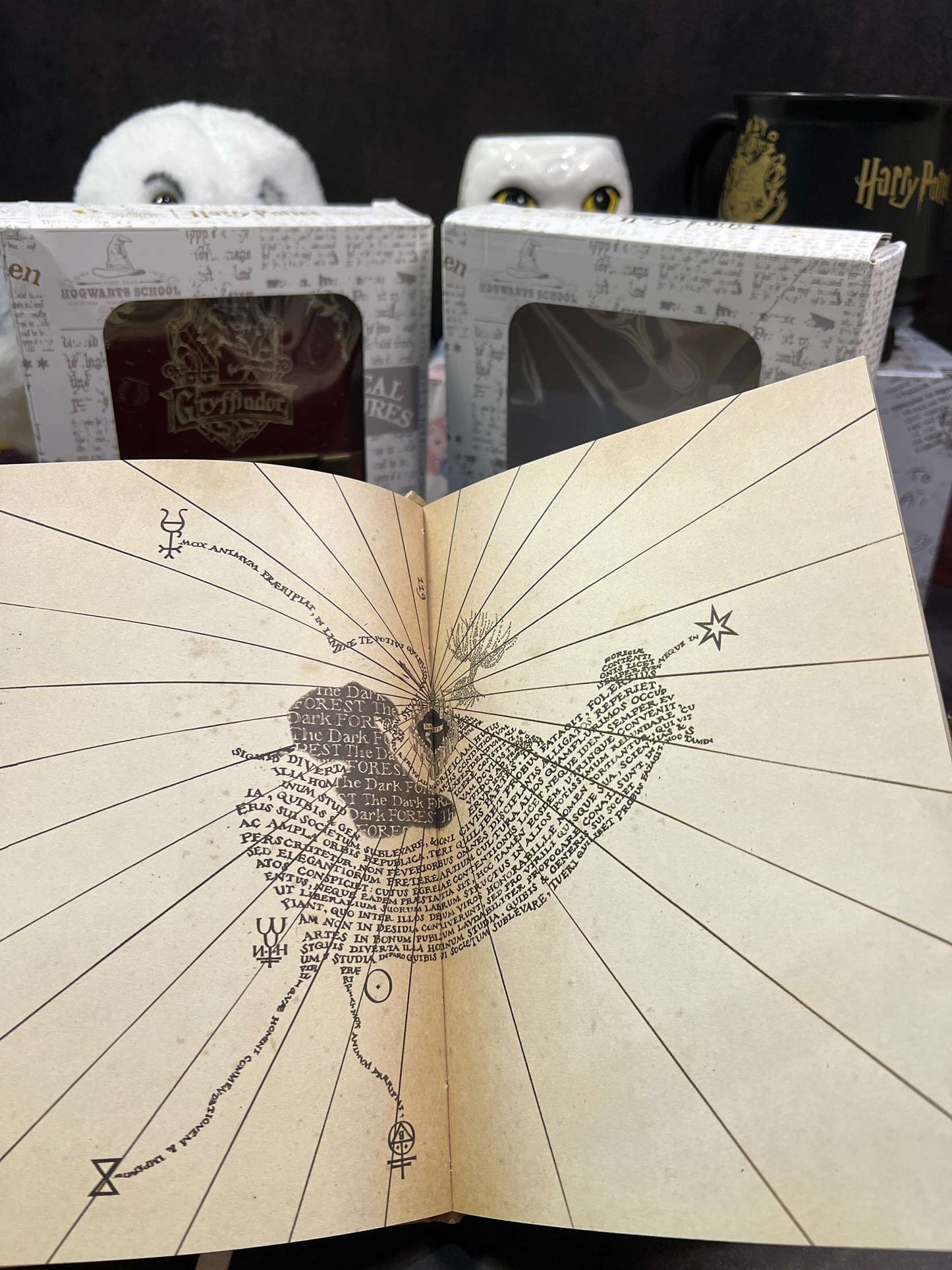 Harry Potter Vintage Code Lock Diary (limited edition)