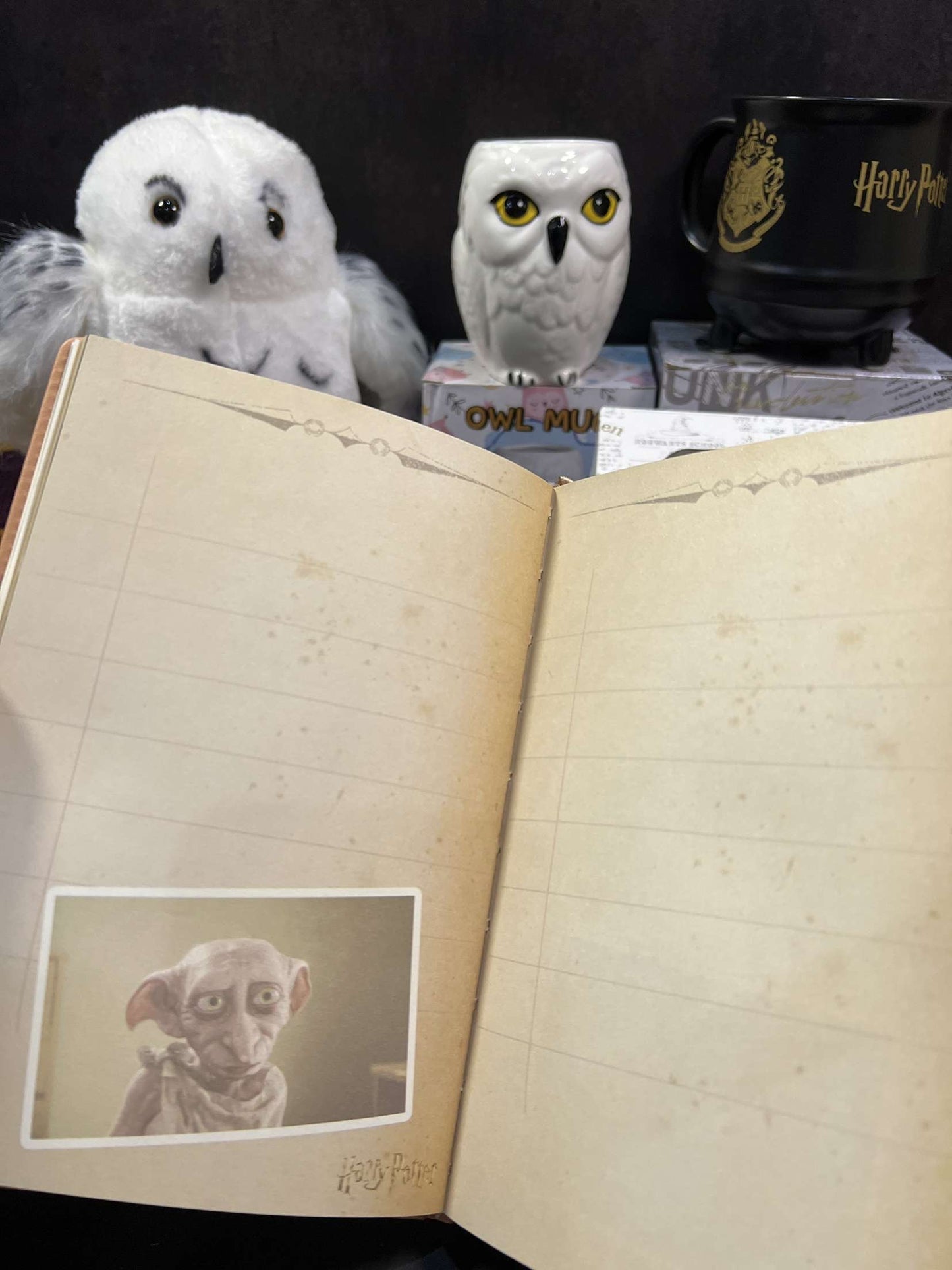 Harry Potter Vintage Code Lock Diary (limited edition)