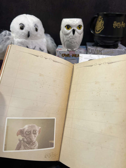 Harry Potter Vintage Code Lock Diary (limited edition)