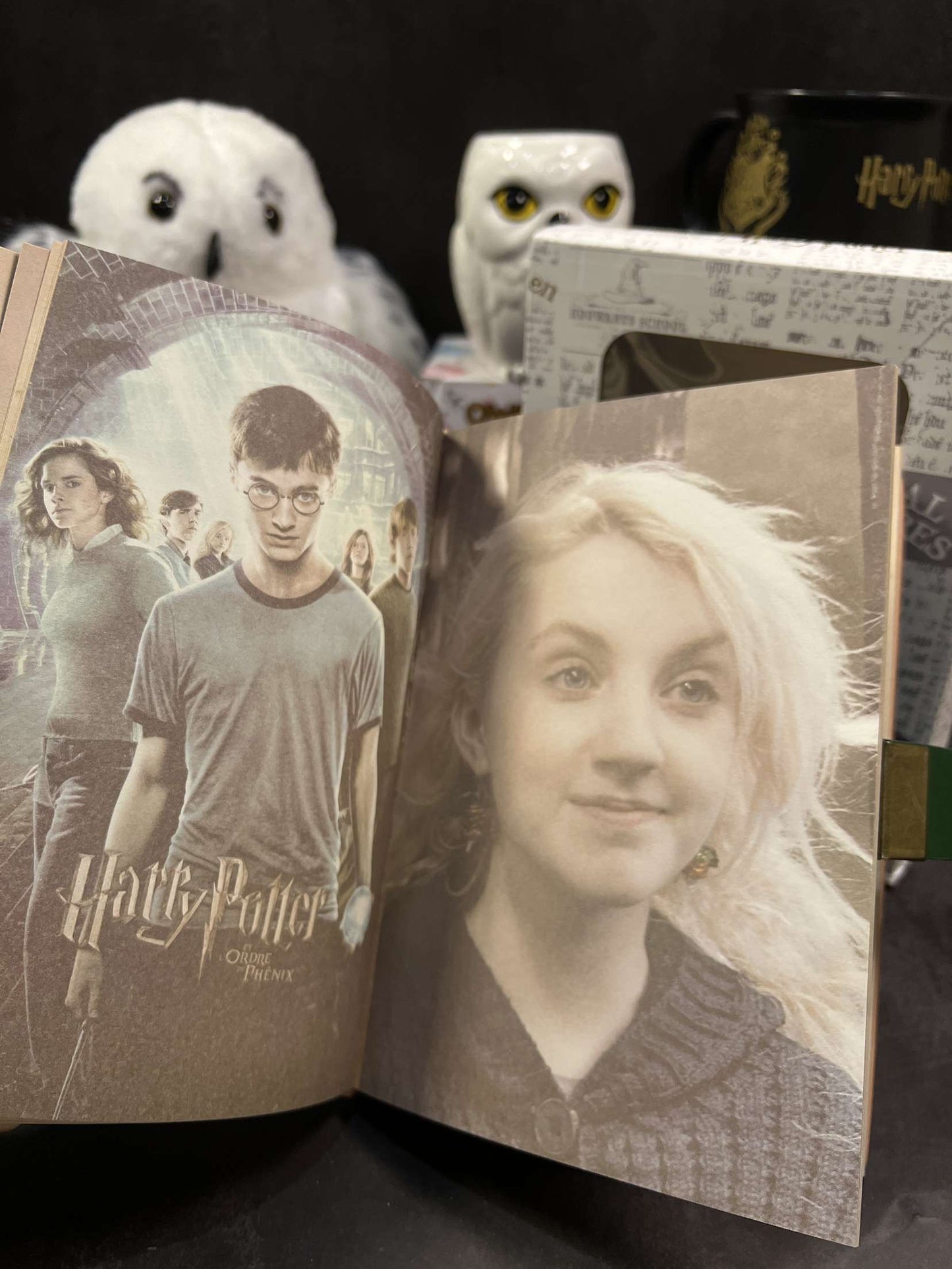 Harry Potter Vintage Code Lock Diary (limited edition)