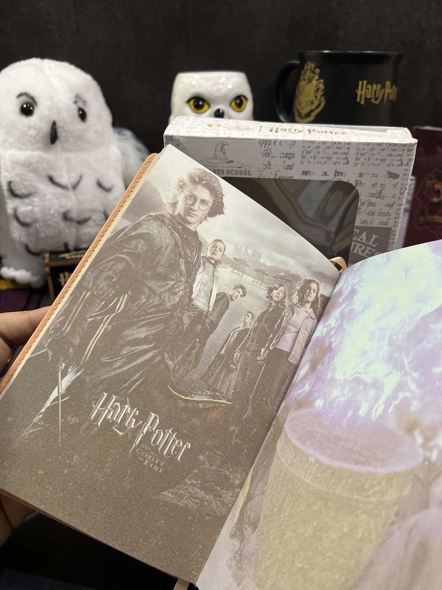 Harry Potter Vintage Code Lock Diary (limited edition)