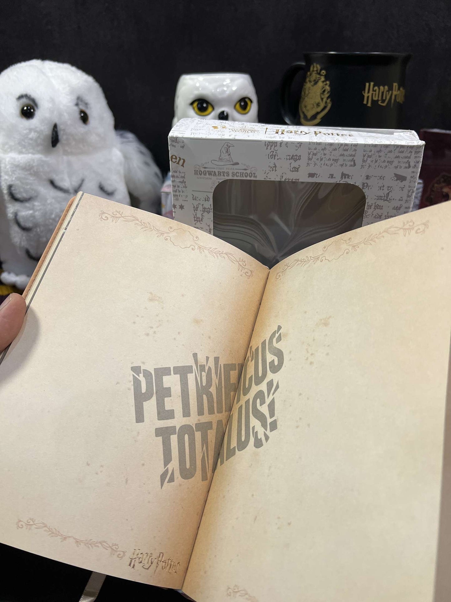 Harry Potter Vintage Code Lock Diary (limited edition)