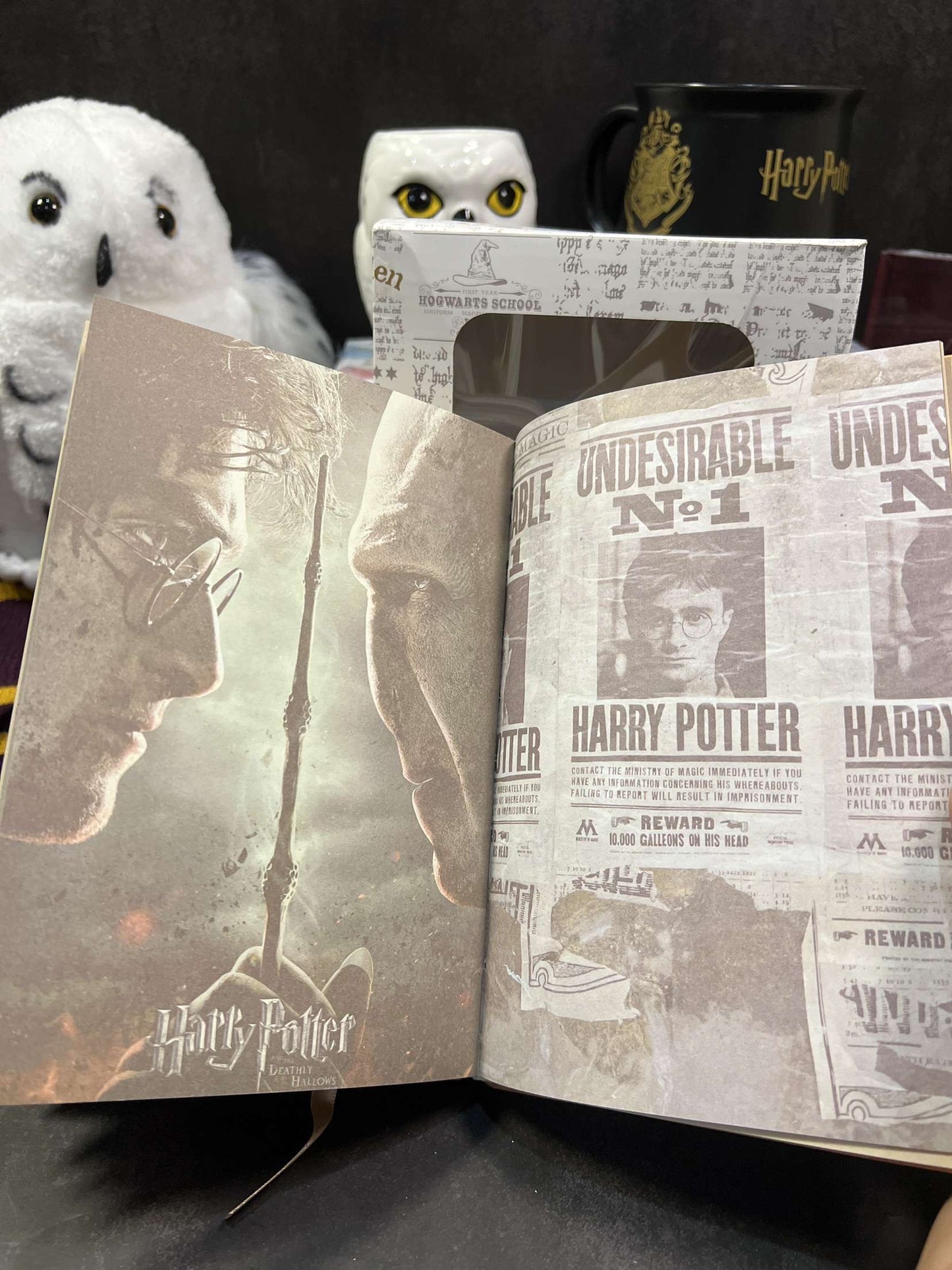 Harry Potter Vintage Code Lock Diary (limited edition)