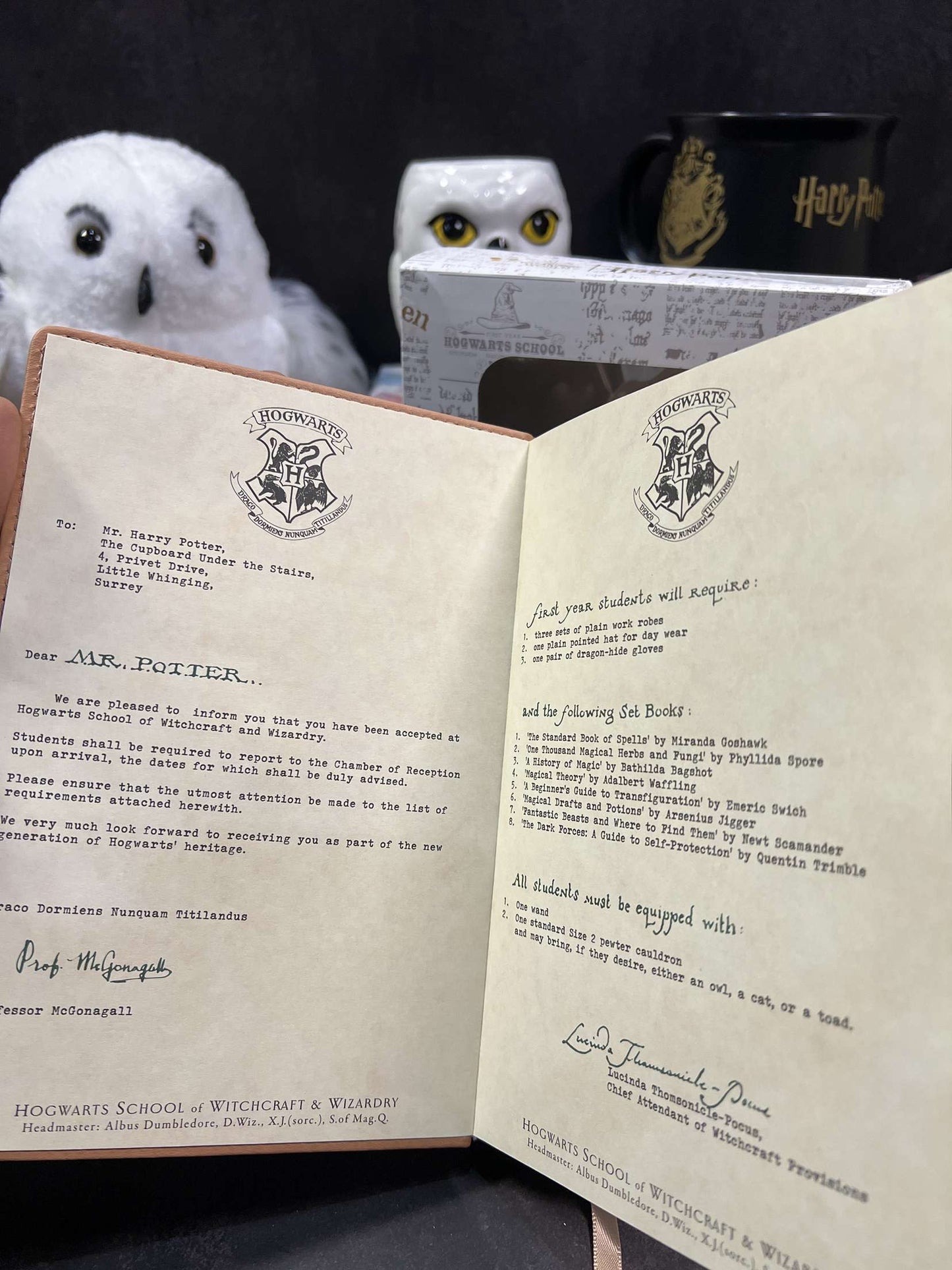 Harry Potter Vintage Code Lock Diary (limited edition)