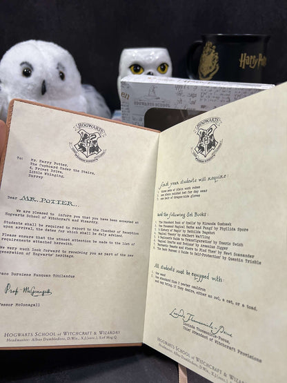 Harry Potter Vintage Code Lock Diary (limited edition)